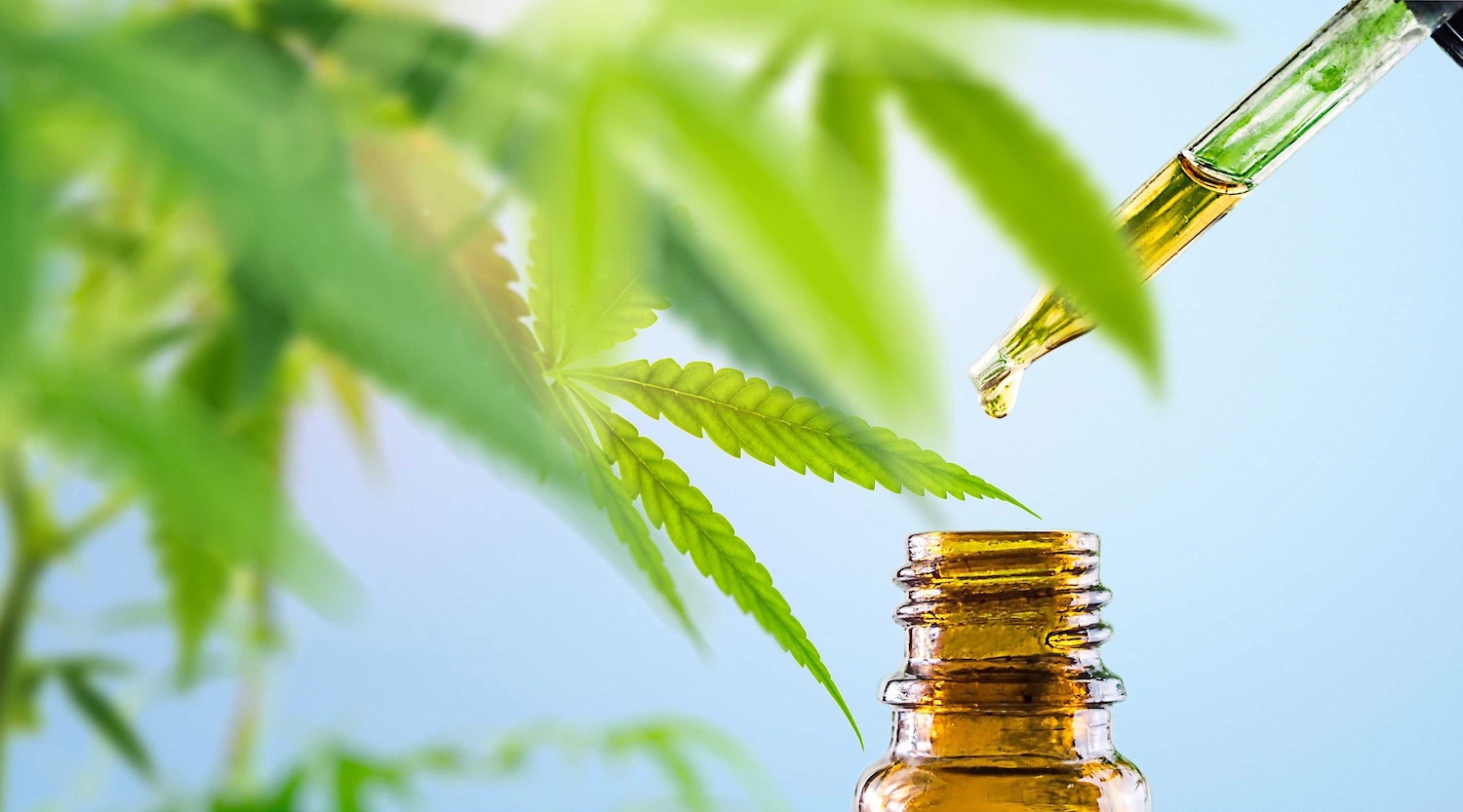 How to Make Cannabis Oil?