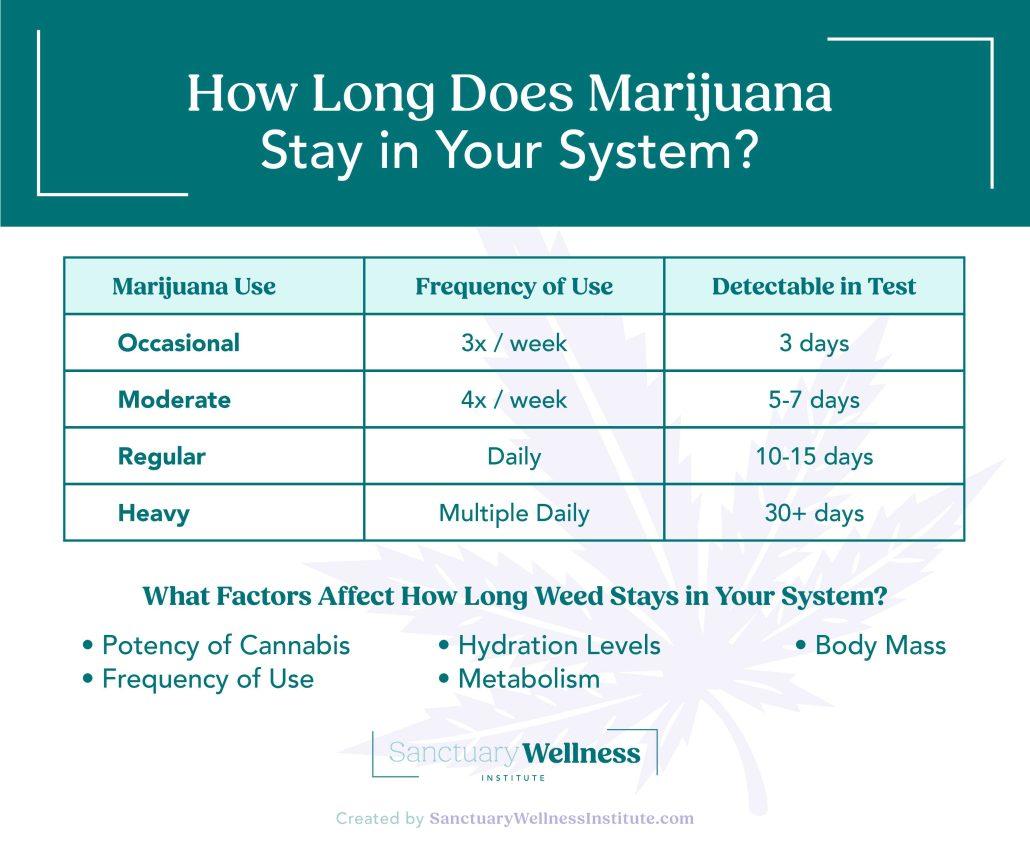 How Long Does Medical Marijuana Stay in Your System? | The Sanctuary ...