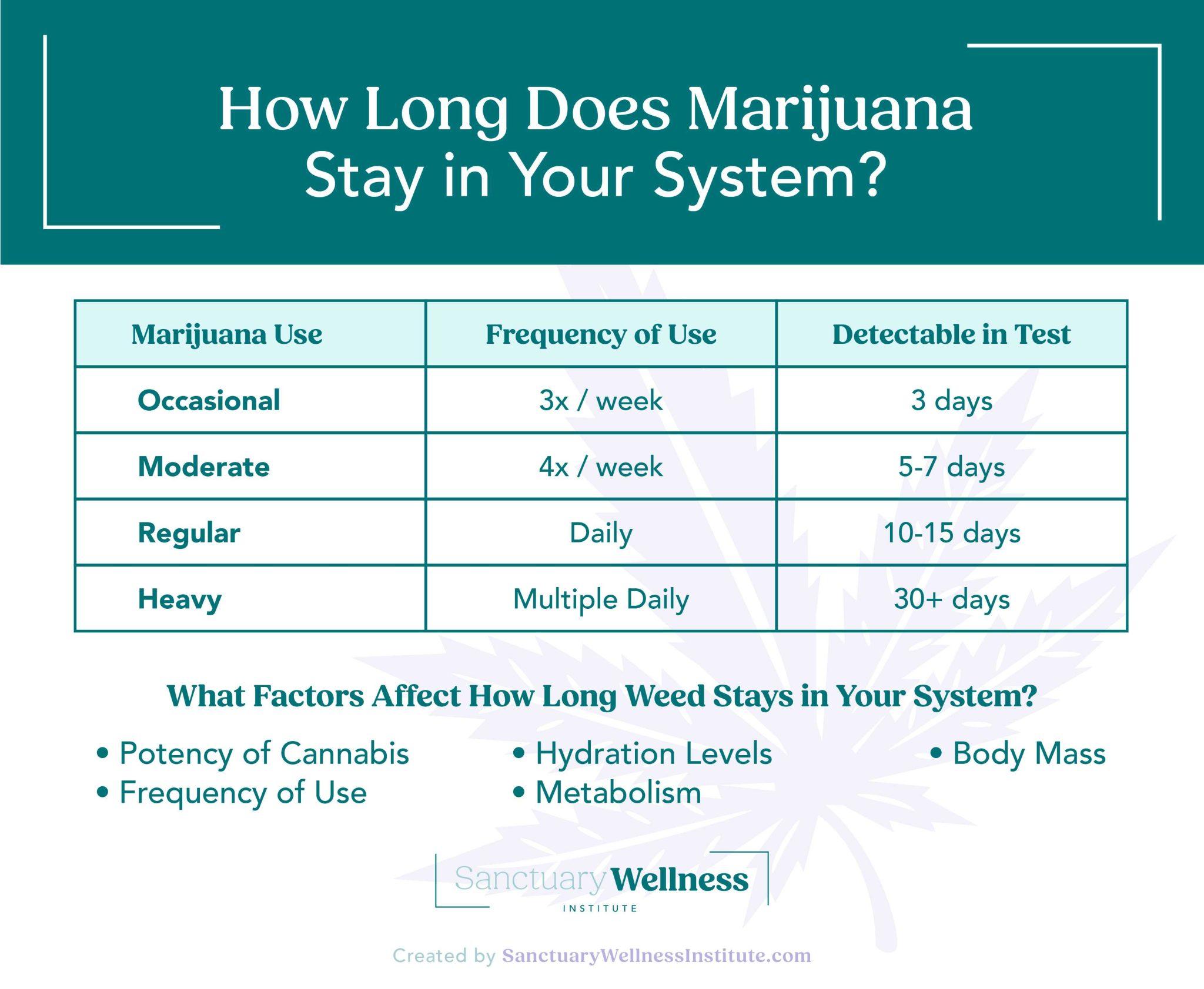 How Long Does Medical Marijuana Stay in Your System? | The Sanctuary ...