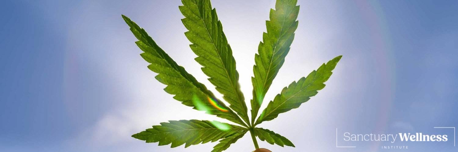 Endocannabinoid Deficiency