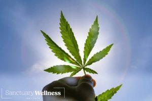 What is Endocannabinoid Deficiency