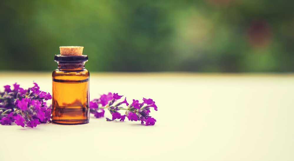 Everything You Need to Know About Lavender Essential Oil - The