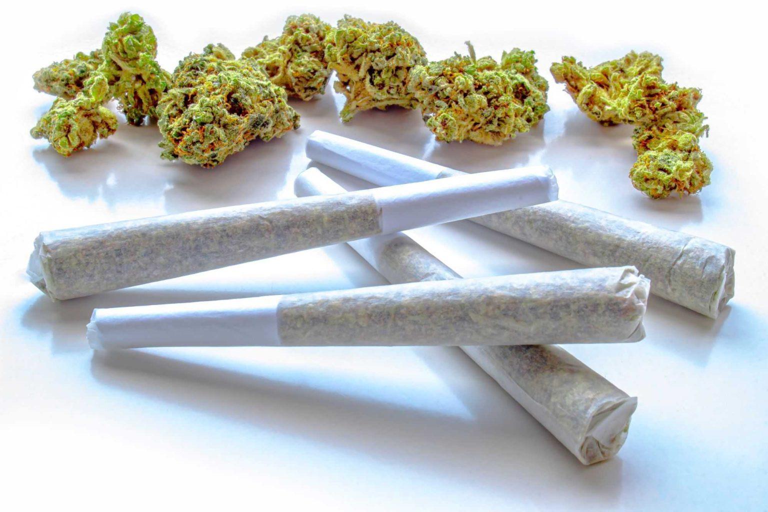 Everything You Need To Know About Cannabis Pre-Rolls | The Sanctuary ...