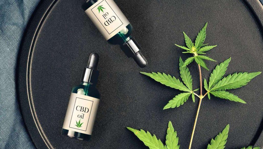 CBD vs. THC What’s the Difference