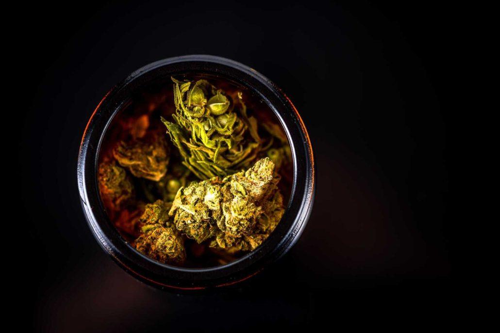 How to Choose a Cannabis Strain | The Sanctuary Wellness Institute
