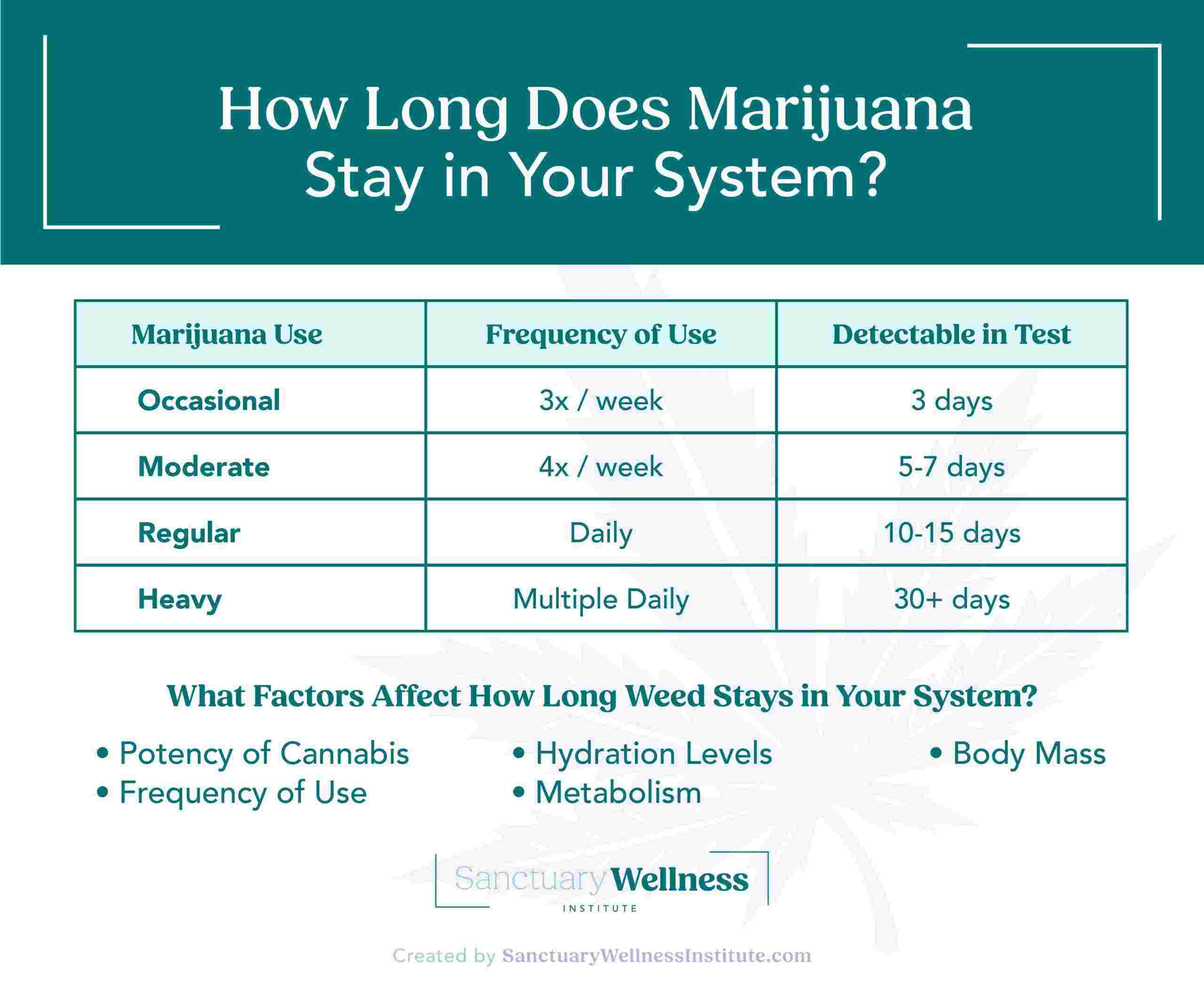 How Long Does CBD Stay in Your System