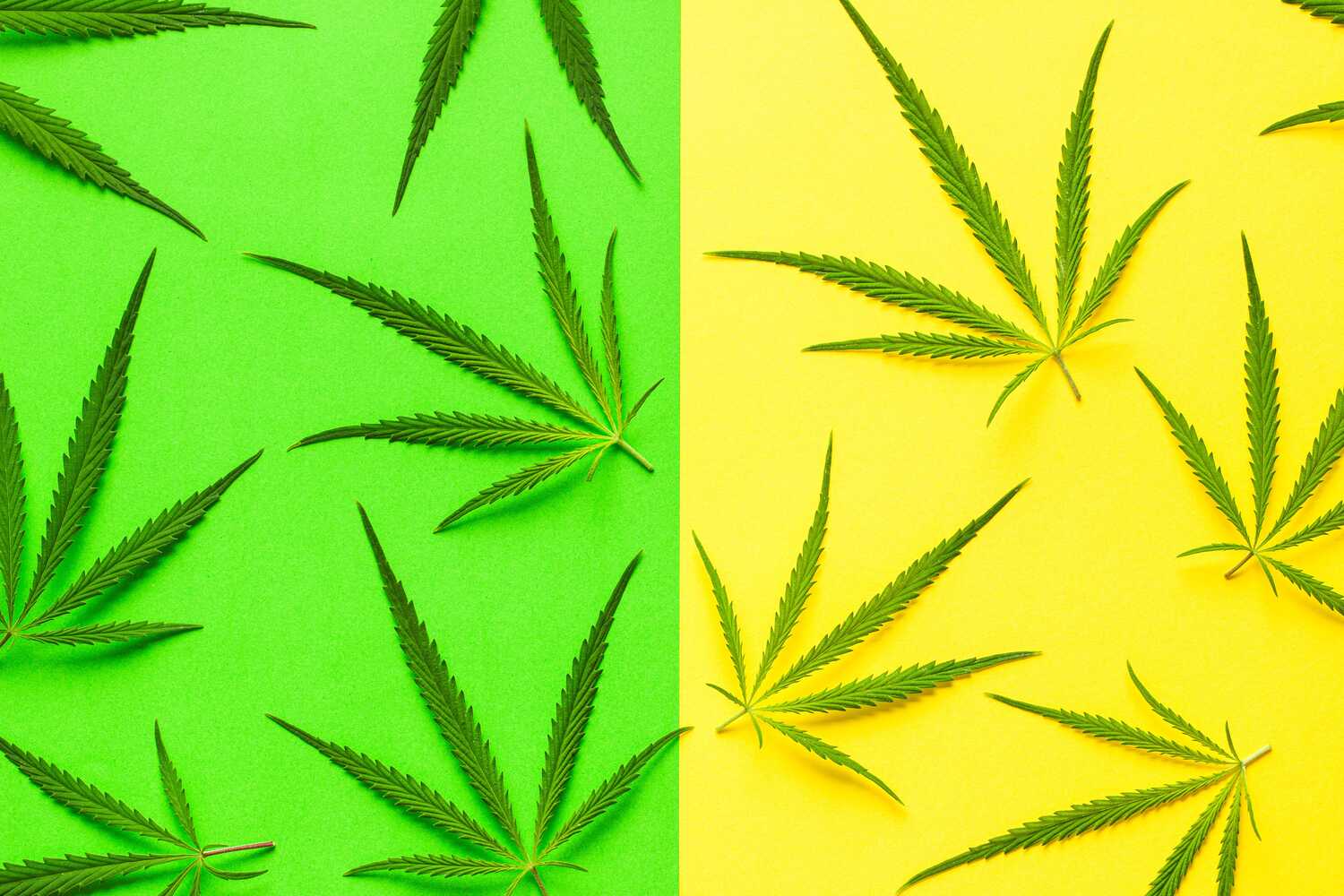 What Is Recreational Marijuana