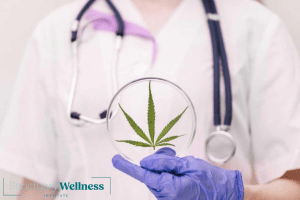 Survey: Medical Marijuana Patients