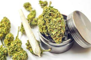 Does Marijuana Help Nausea?