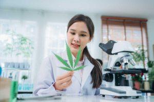 Medical Marijuana And Ulcerative Colitis