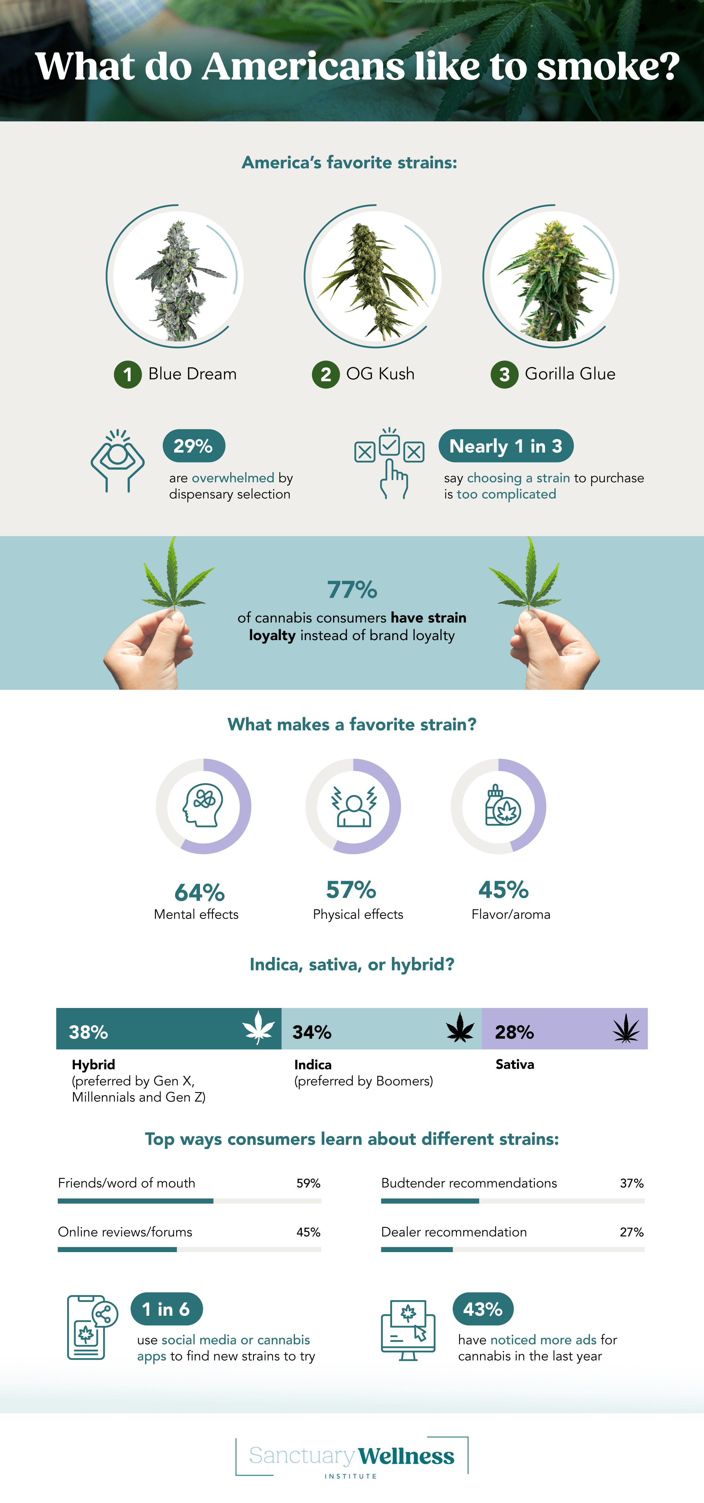 Infographic on marijuana strain preferences by SanctuaryWellnessInstitute.com