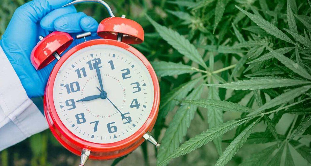 Drug Scheduling Under the Controlled Substances Act