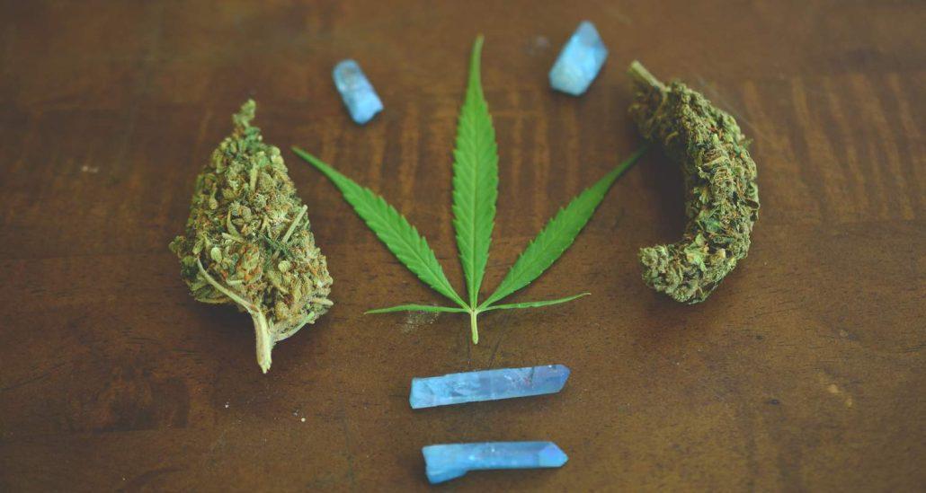 Understanding Cannabis Tolerance