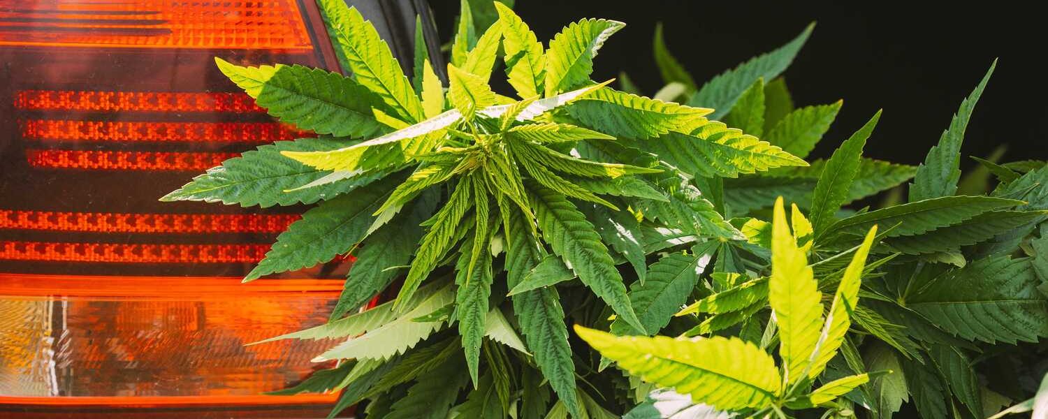 Can CDL Drivers Use Medical Marijuana?