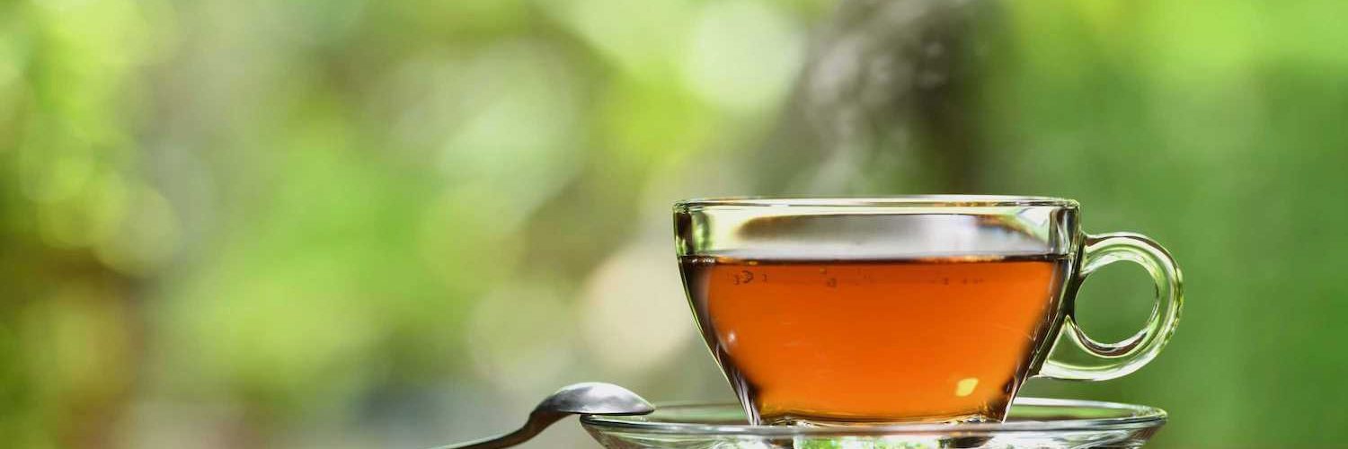 How to Make Psilocybin Tea?