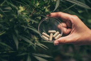 Treating Glaucoma With Cannabis