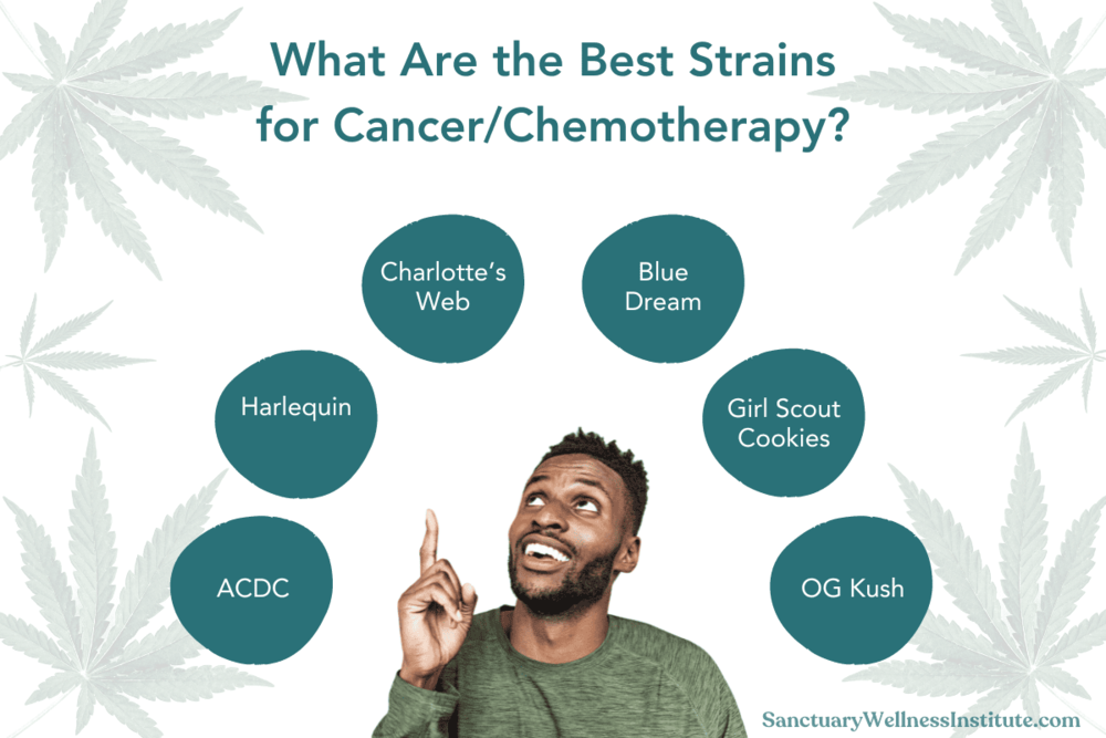 Best Marijuana Strains for Cancer