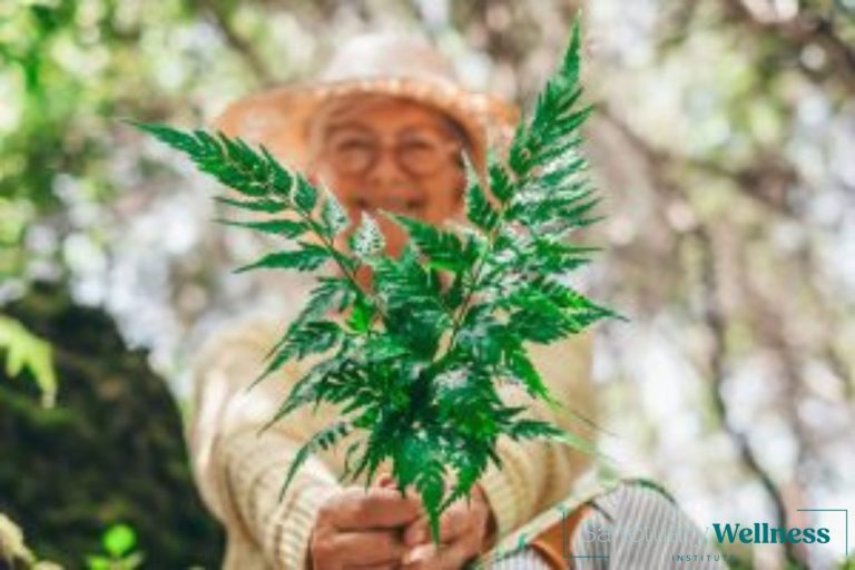 Medical Marijuana for Hospice & End of Life Care